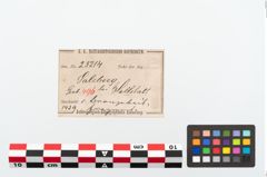 Etikett zu Bronzebeilklinge (NHMW-PRAE-025214)